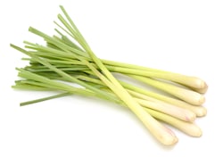 Lemongrass